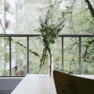 The Future of Web Development