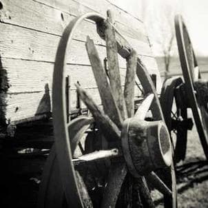 Proin sit amet massa eget odio consectetur ultrices.